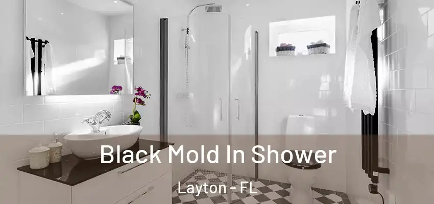  Black Mold In Shower Layton - FL
