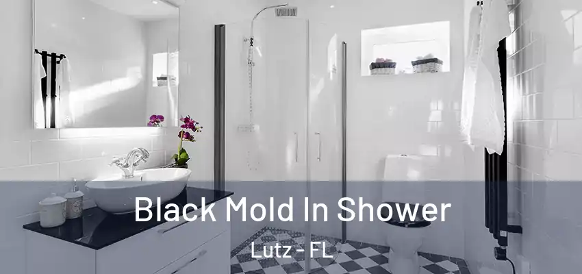  Black Mold In Shower Lutz - FL