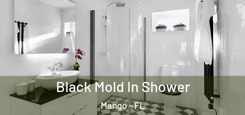 Black Mold In Shower Mango - FL