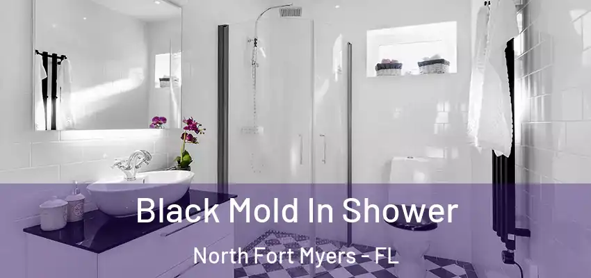 Black Mold In Shower North Fort Myers - FL