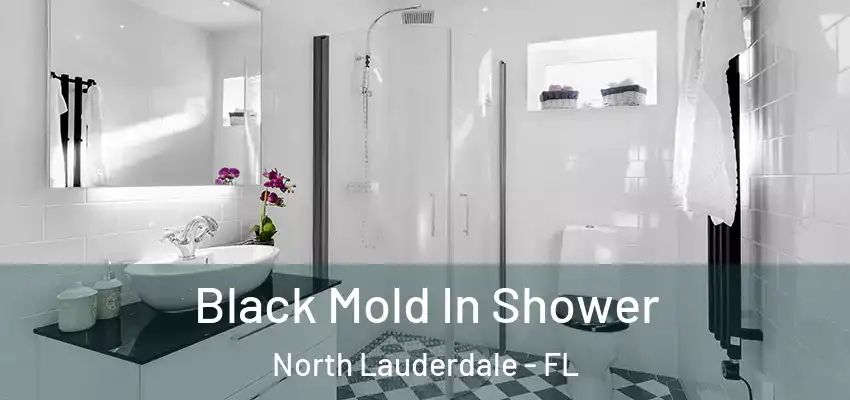 Black Mold In Shower North Lauderdale - FL