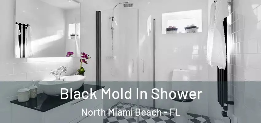  Black Mold In Shower North Miami Beach - FL