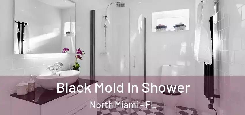  Black Mold In Shower North Miami - FL