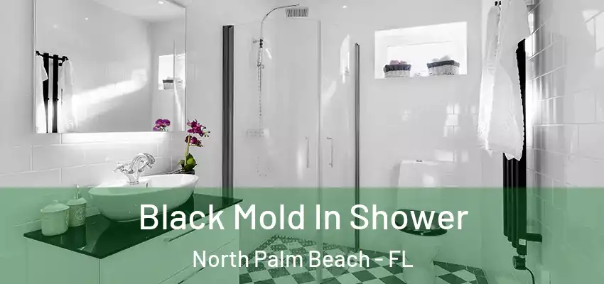 Black Mold In Shower North Palm Beach - FL