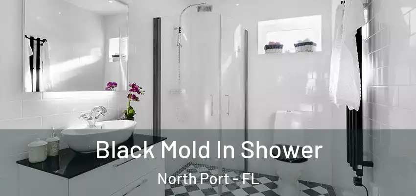 Black Mold In Shower North Port - FL