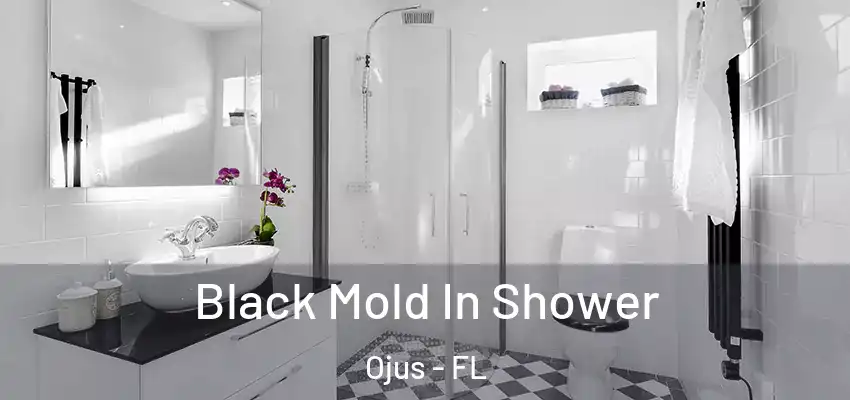 Black Mold In Shower Ojus - FL