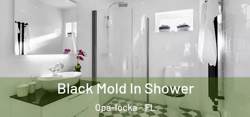  Black Mold In Shower Opa-locka - FL