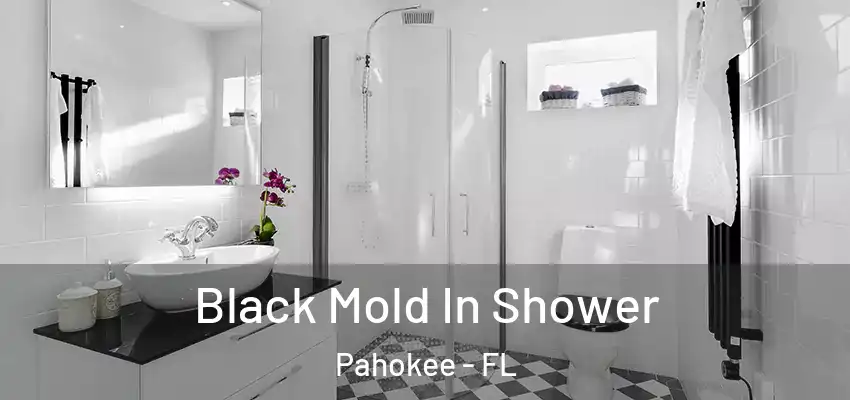  Black Mold In Shower Pahokee - FL