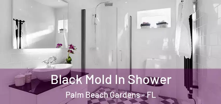  Black Mold In Shower Palm Beach Gardens - FL