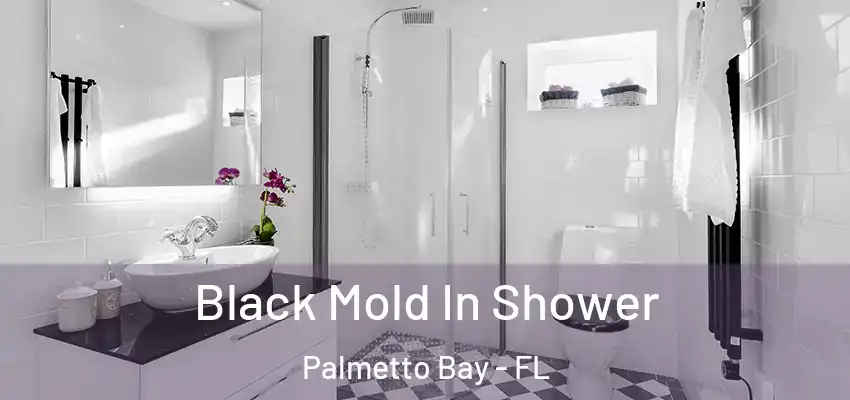 Black Mold In Shower Palmetto Bay - FL