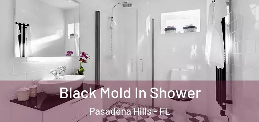 Black Mold In Shower Pasadena Hills - FL