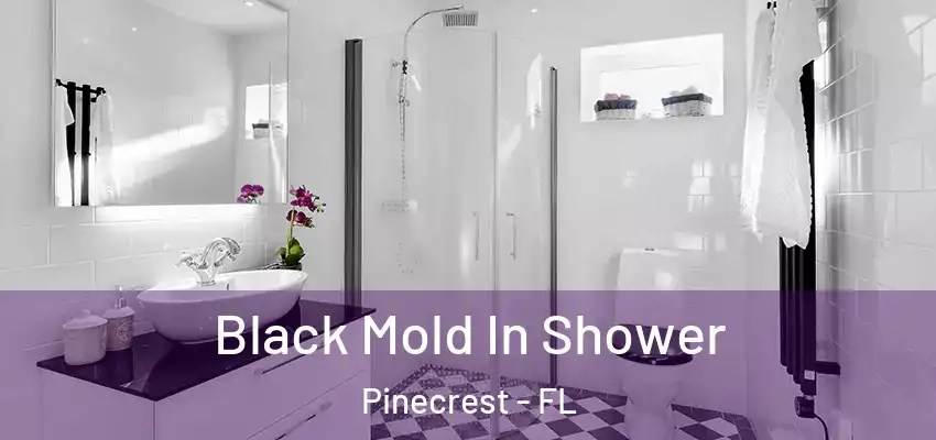  Black Mold In Shower Pinecrest - FL