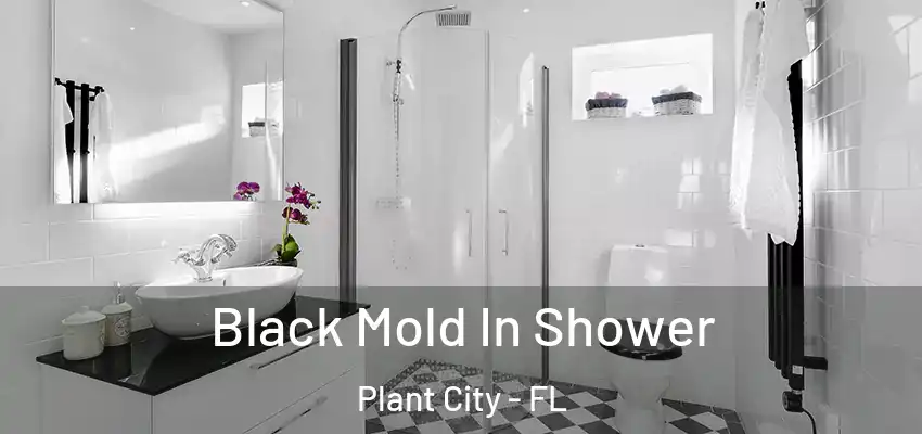 Black Mold In Shower Plant City - FL