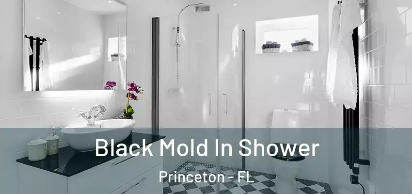Black Mold In Shower Princeton - FL