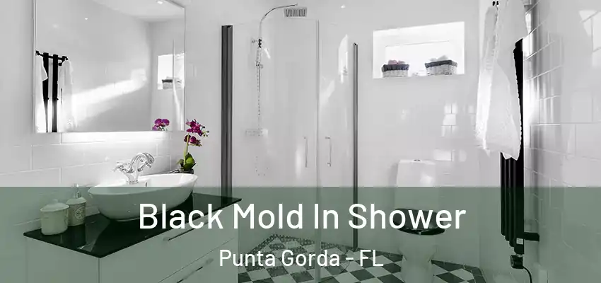 Black Mold In Shower Punta Gorda - FL