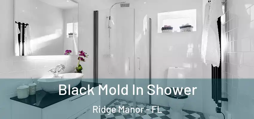 Black Mold In Shower Ridge Manor - FL