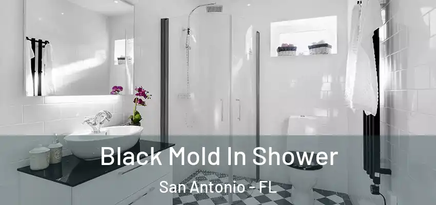 Black Mold In Shower San Antonio - FL