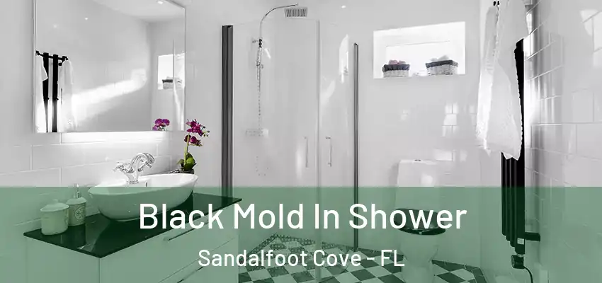  Black Mold In Shower Sandalfoot Cove - FL