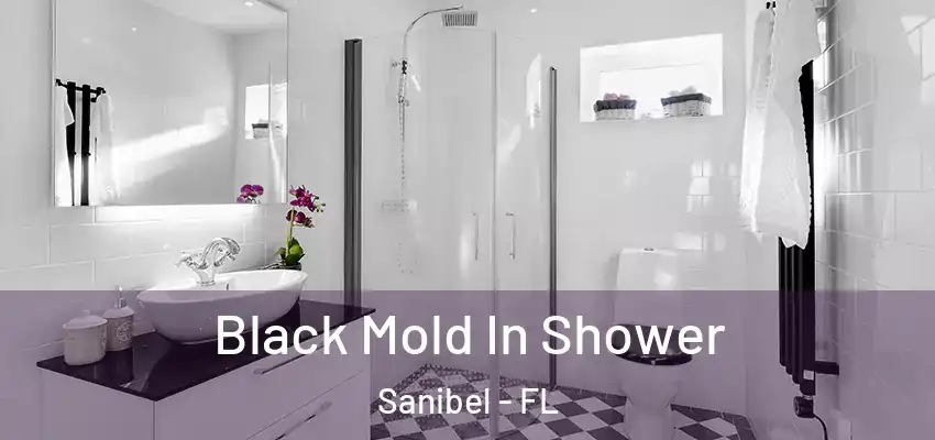  Black Mold In Shower Sanibel - FL