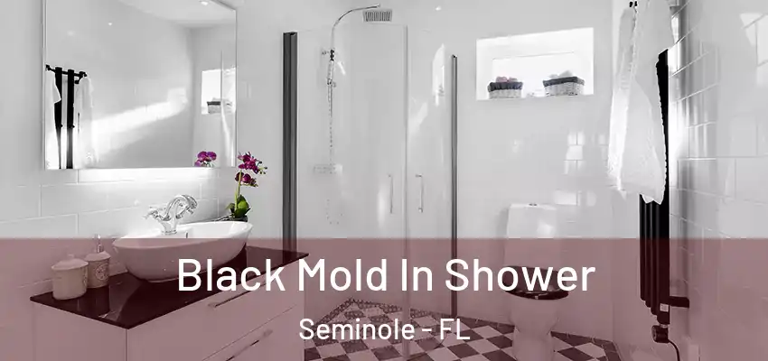 Black Mold In Shower Seminole - FL