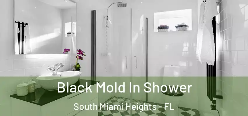 Black Mold In Shower South Miami Heights - FL