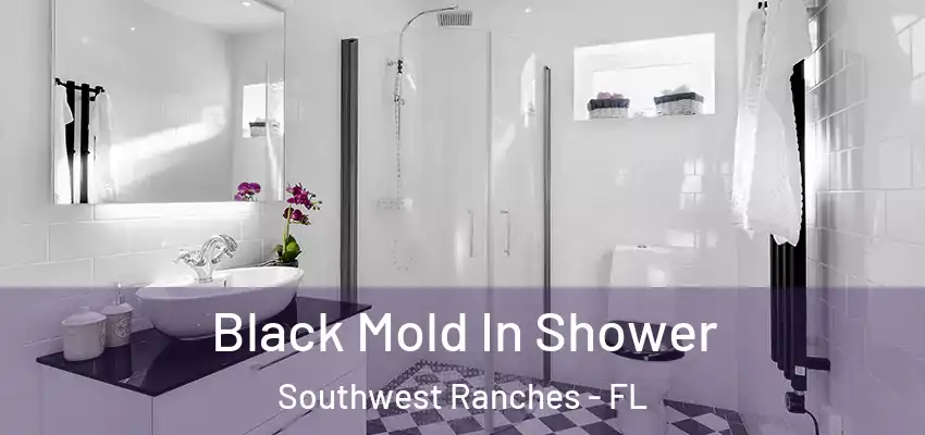 Black Mold In Shower Southwest Ranches - FL