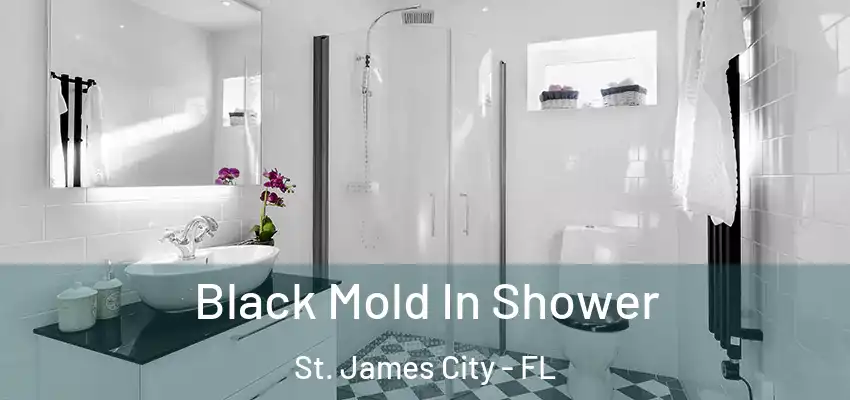 Black Mold In Shower St. James City - FL