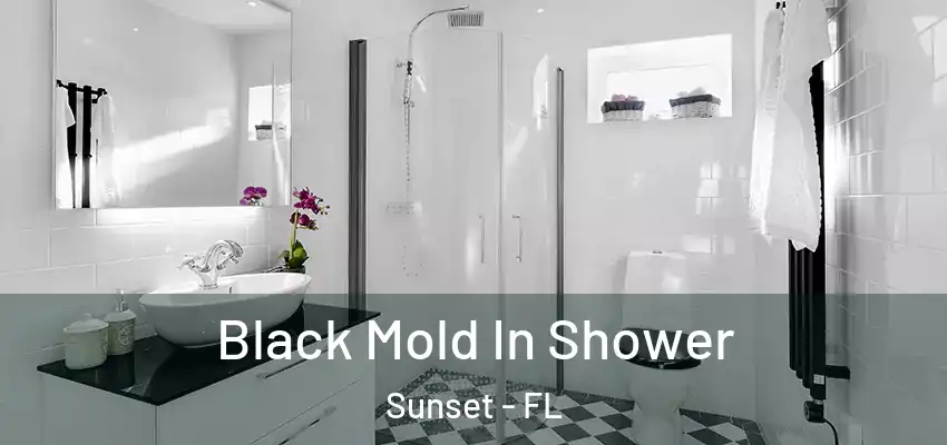 Black Mold In Shower Sunset - FL