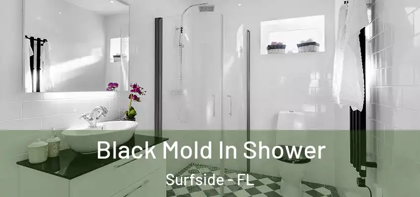 Black Mold In Shower Surfside - FL