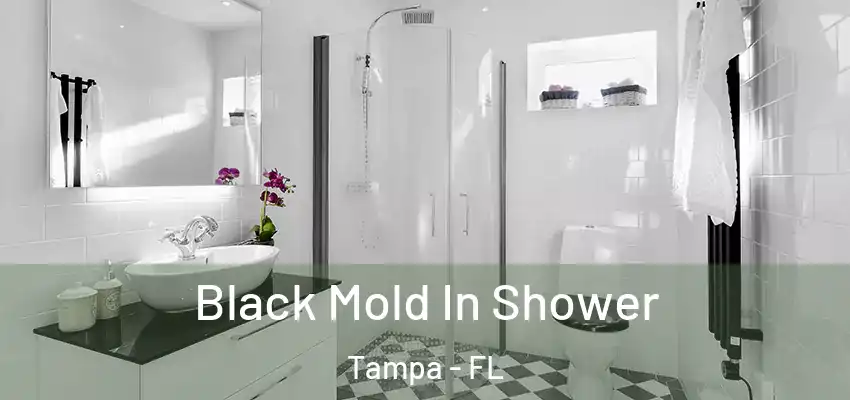 Black Mold In Shower Tampa - FL