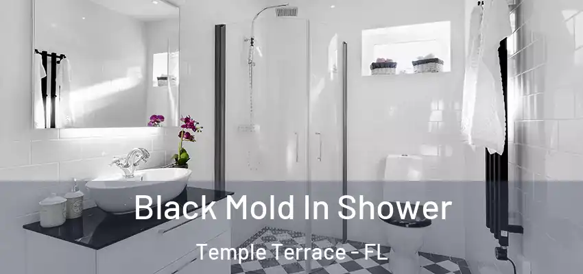 Black Mold In Shower Temple Terrace - FL