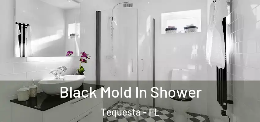  Black Mold In Shower Tequesta - FL