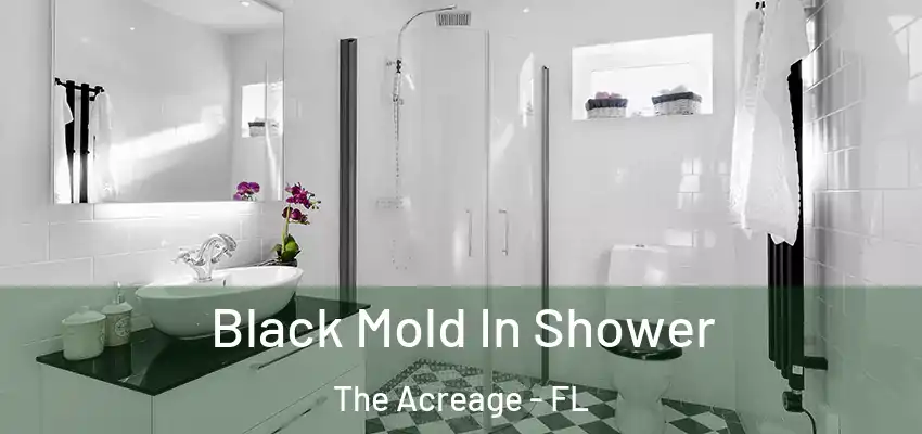  Black Mold In Shower The Acreage - FL