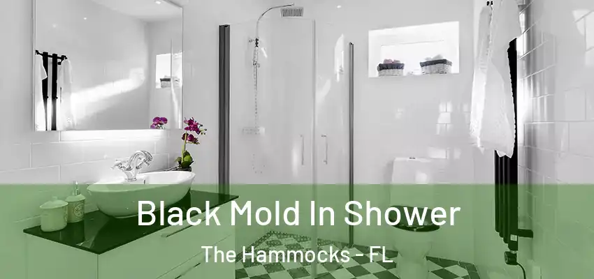  Black Mold In Shower The Hammocks - FL