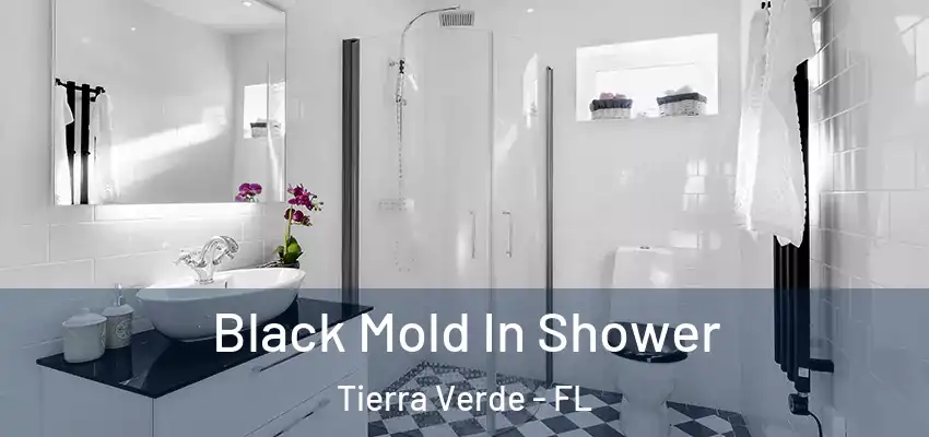  Black Mold In Shower Tierra Verde - FL