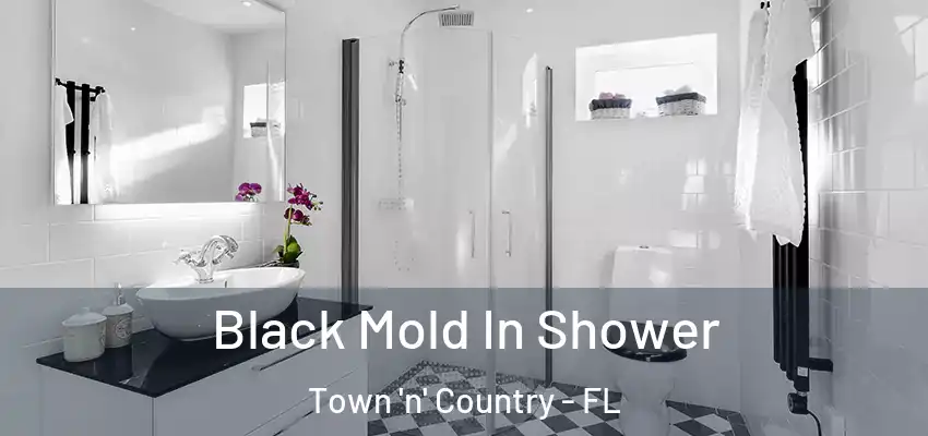 Black Mold In Shower Town 'n' Country - FL