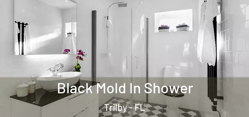 Black Mold In Shower Trilby - FL