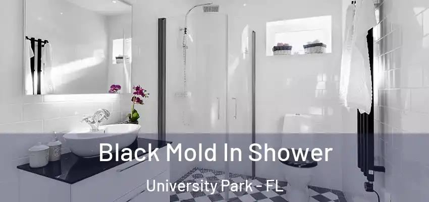 Black Mold In Shower University Park - FL