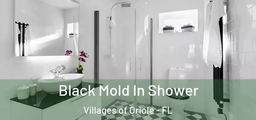 Black Mold In Shower Villages of Oriole - FL