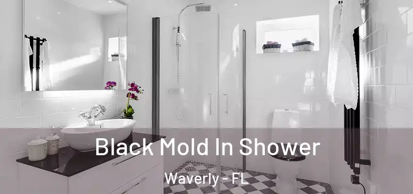  Black Mold In Shower Waverly - FL