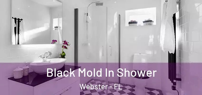 Black Mold In Shower Webster - FL