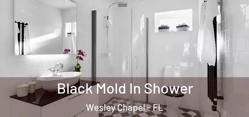 Black Mold In Shower Wesley Chapel - FL