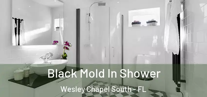 Black Mold In Shower Wesley Chapel South - FL