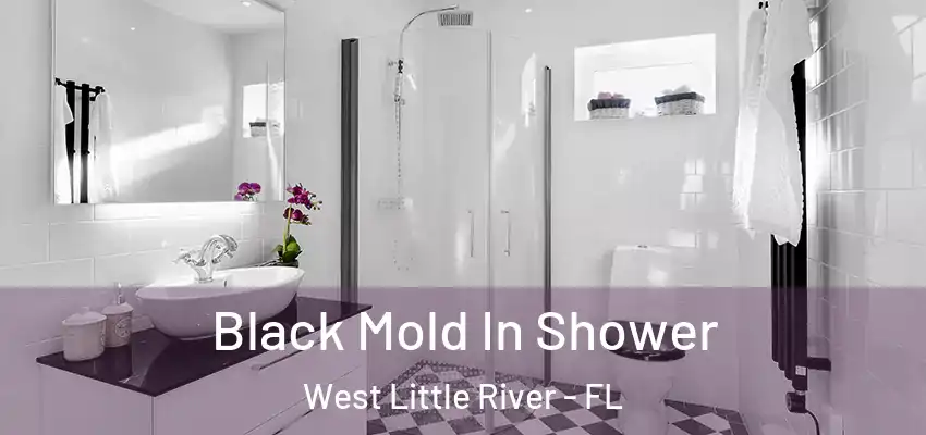 Black Mold In Shower West Little River - FL