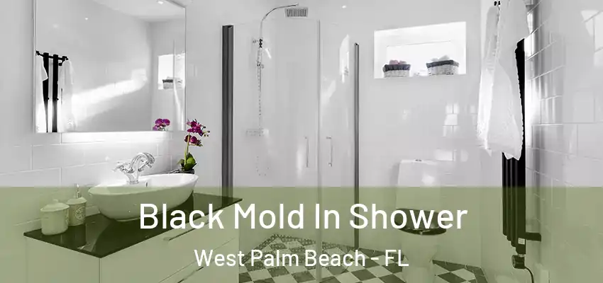 Black Mold In Shower West Palm Beach - FL