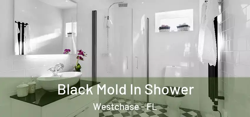  Black Mold In Shower Westchase - FL