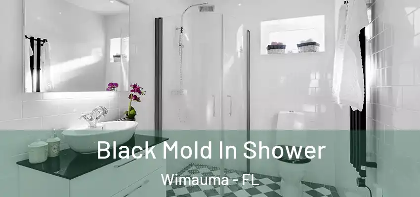  Black Mold In Shower Wimauma - FL