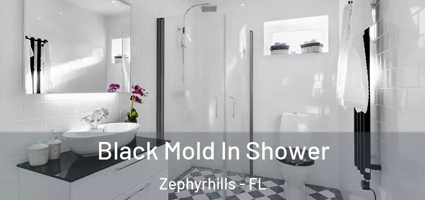 Black Mold In Shower Zephyrhills - FL