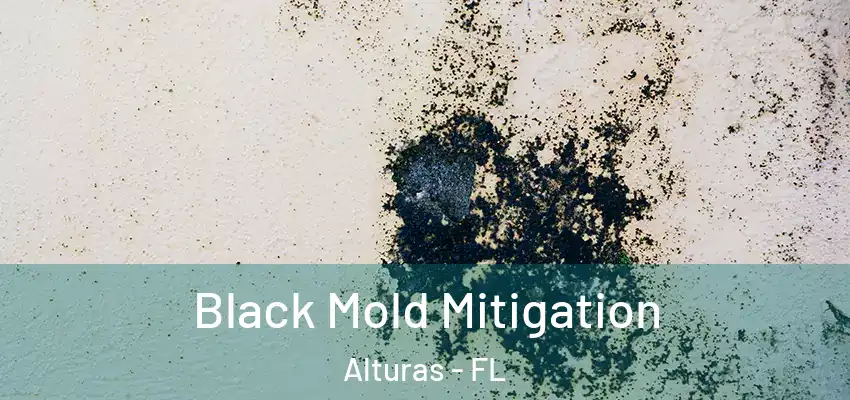  Black Mold Mitigation Alturas - FL