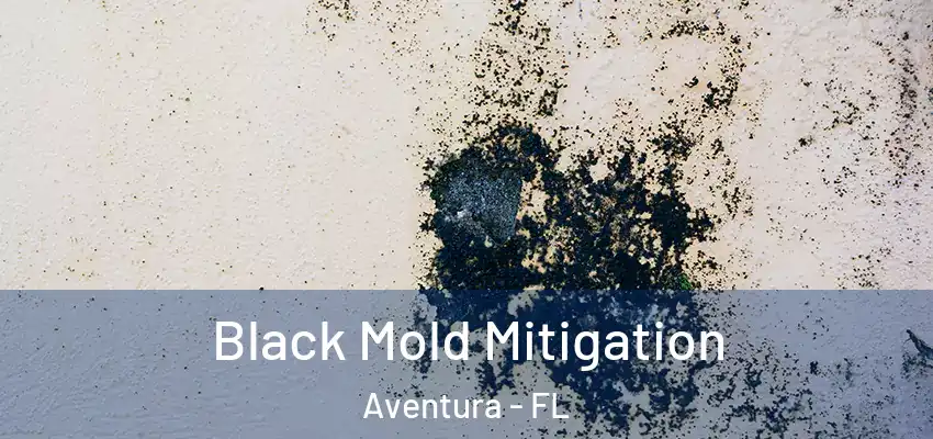  Black Mold Mitigation Aventura - FL
